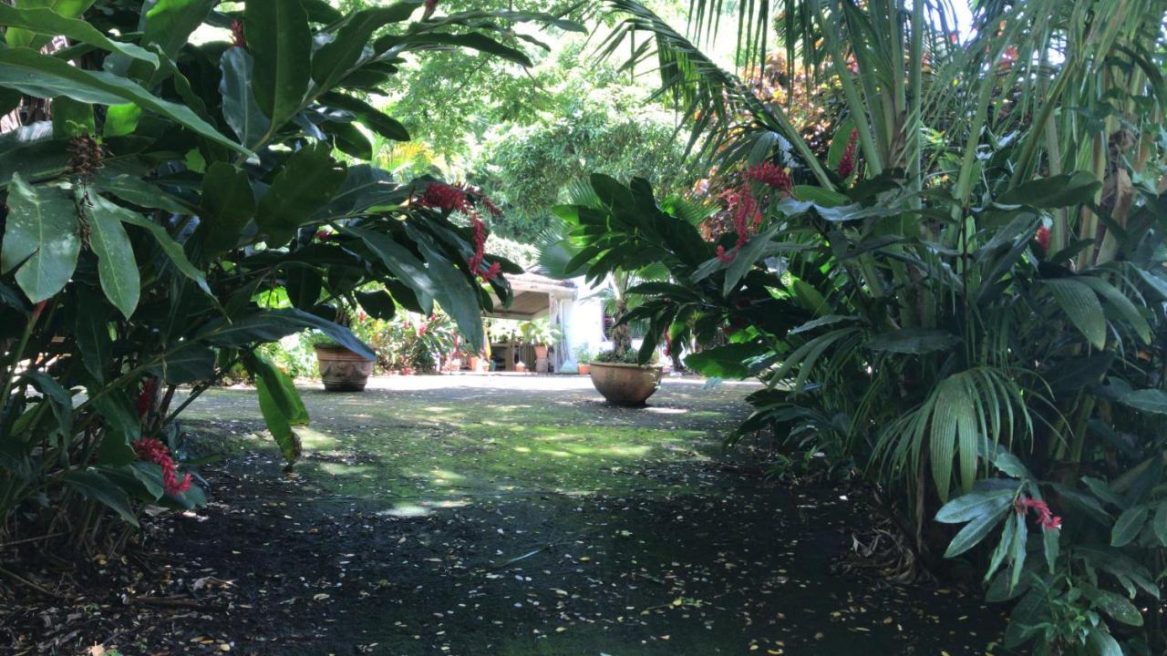 הוילה Canton Suisse Martinique Treehouse מראה חיצוני תמונה