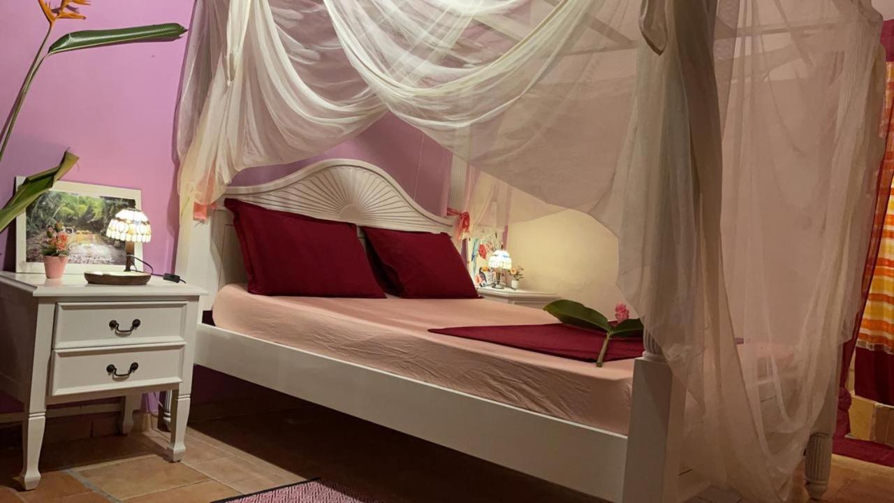הוילה Canton Suisse Martinique Treehouse מראה חיצוני תמונה