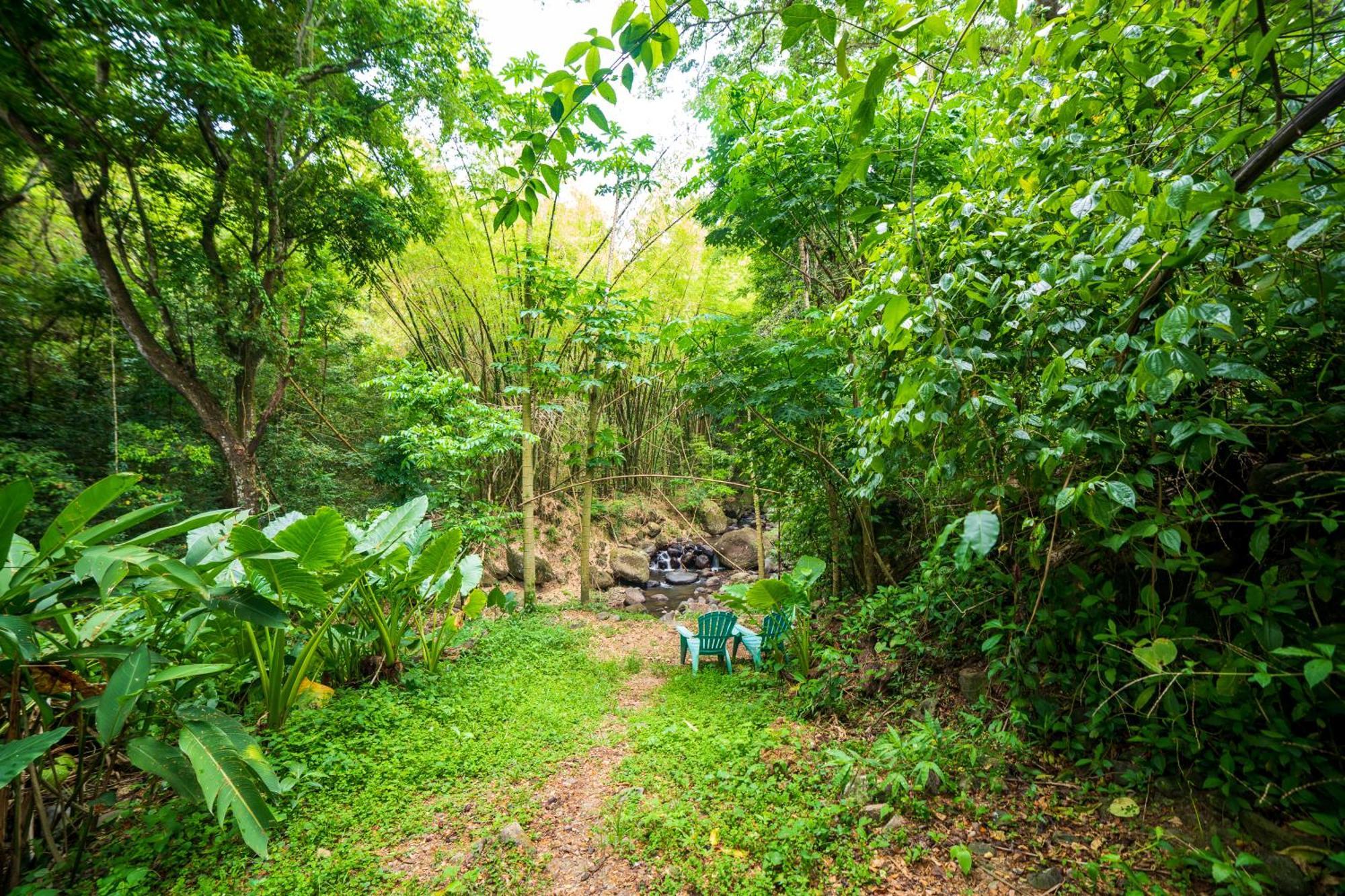 הוילה Canton Suisse Martinique Treehouse מראה חיצוני תמונה