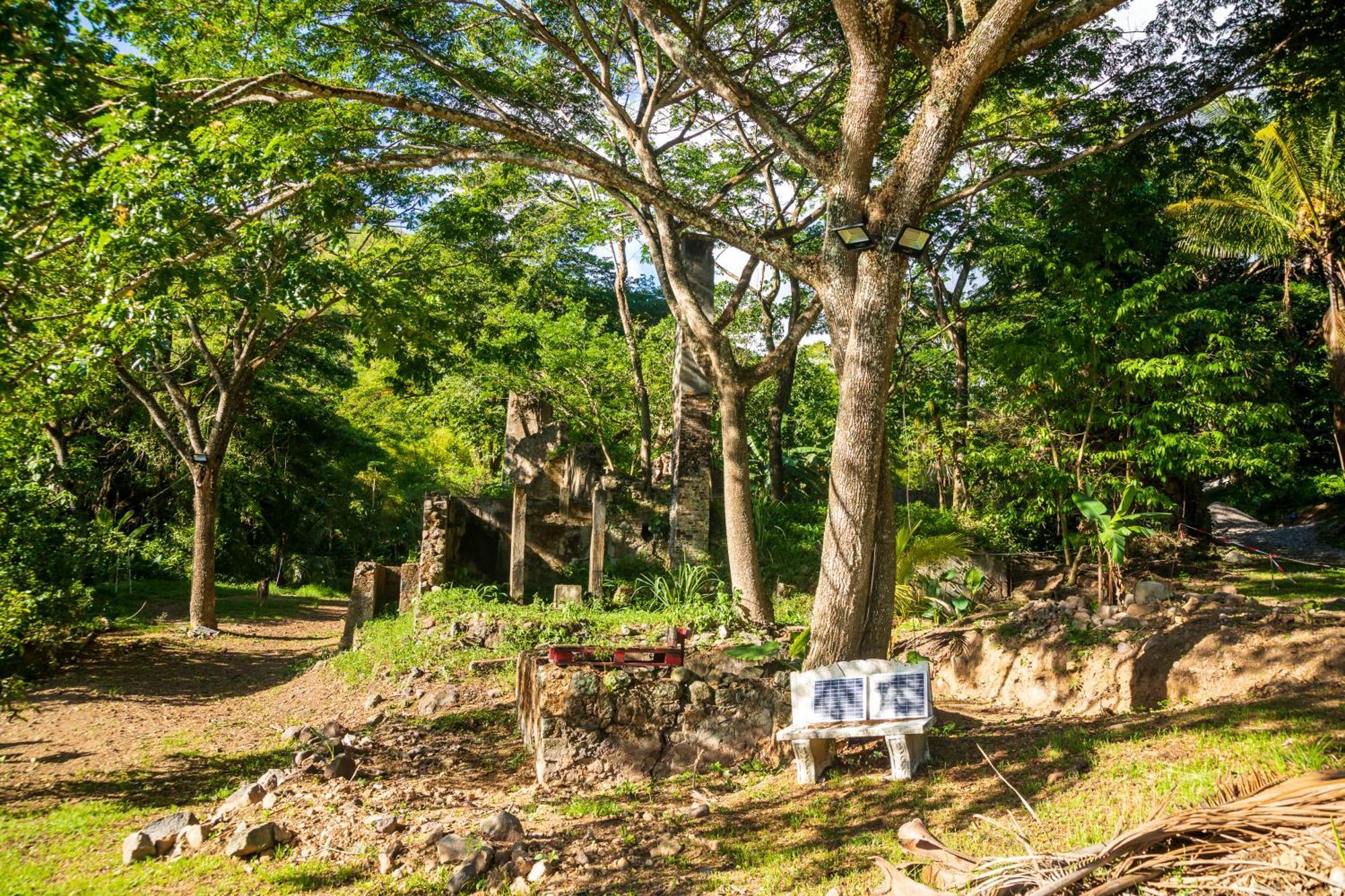 הוילה Canton Suisse Martinique Treehouse מראה חיצוני תמונה