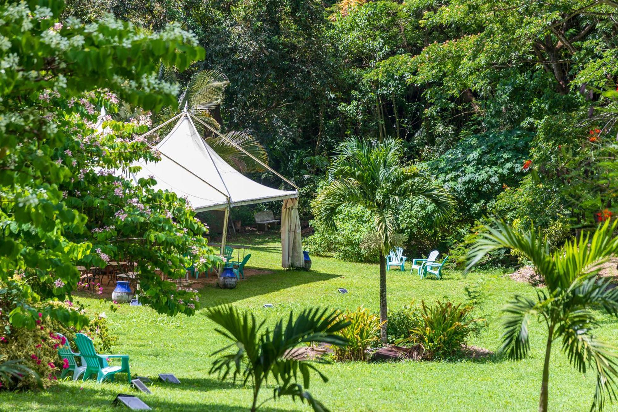 הוילה Canton Suisse Martinique Treehouse מראה חיצוני תמונה