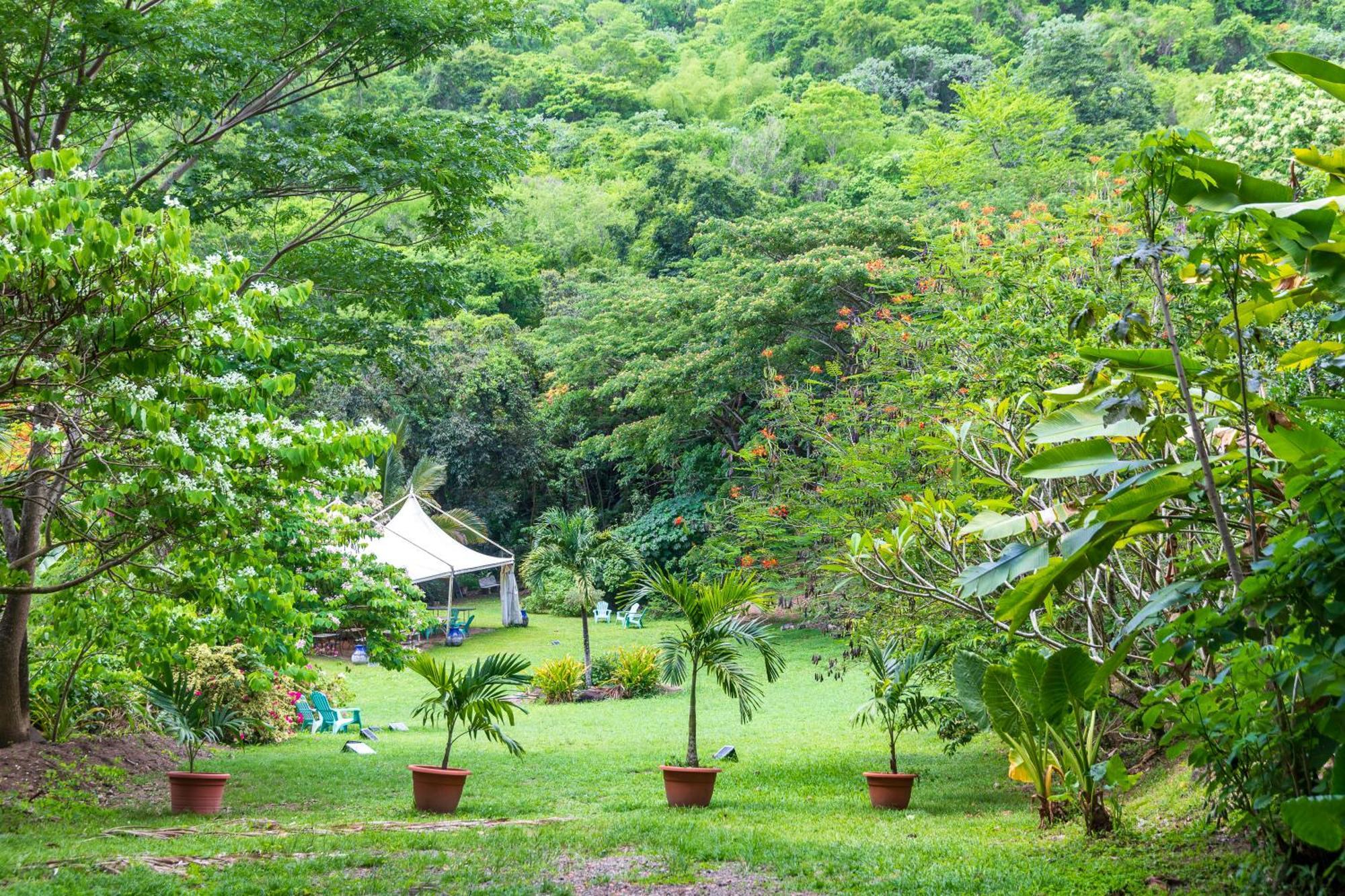 הוילה Canton Suisse Martinique Treehouse מראה חיצוני תמונה