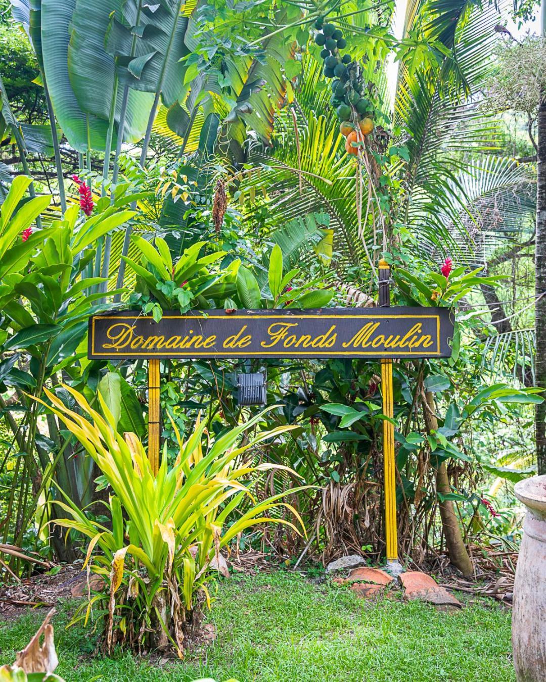 הוילה Canton Suisse Martinique Treehouse מראה חיצוני תמונה