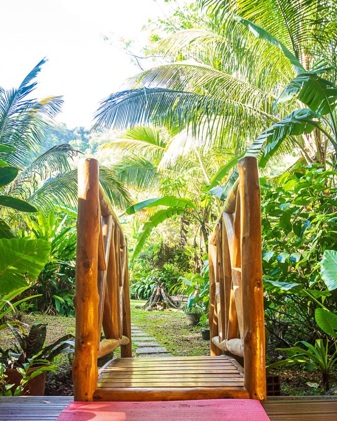 הוילה Canton Suisse Martinique Treehouse מראה חיצוני תמונה