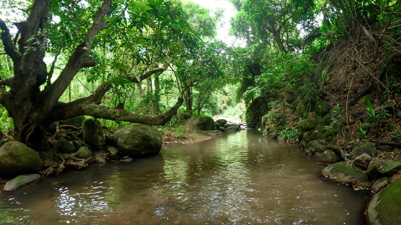 הוילה Canton Suisse Martinique Treehouse מראה חיצוני תמונה