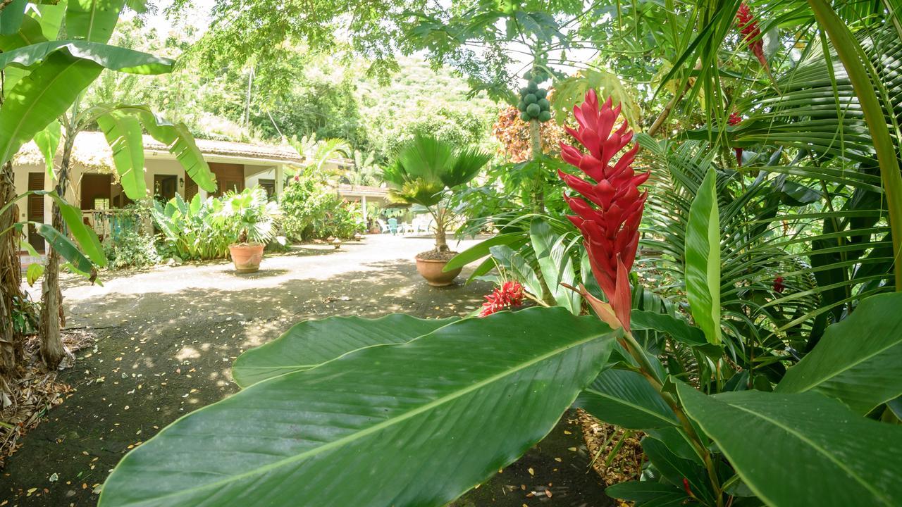 הוילה Canton Suisse Martinique Treehouse מראה חיצוני תמונה