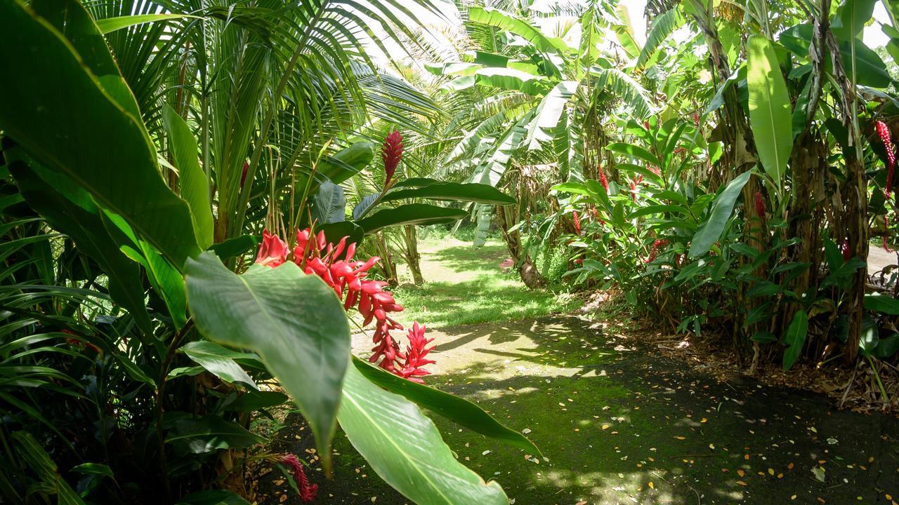הוילה Canton Suisse Martinique Treehouse מראה חיצוני תמונה