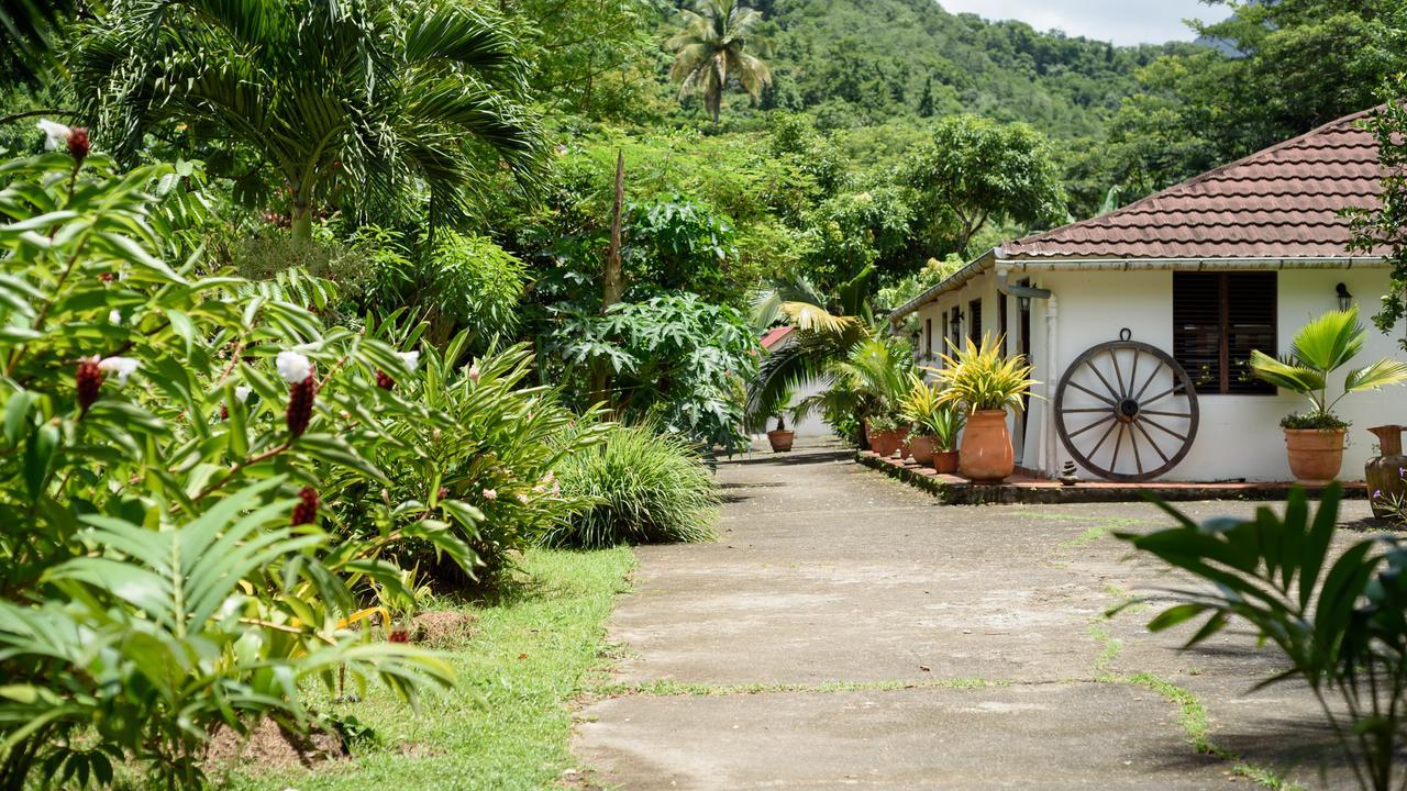 הוילה Canton Suisse Martinique Treehouse מראה חיצוני תמונה