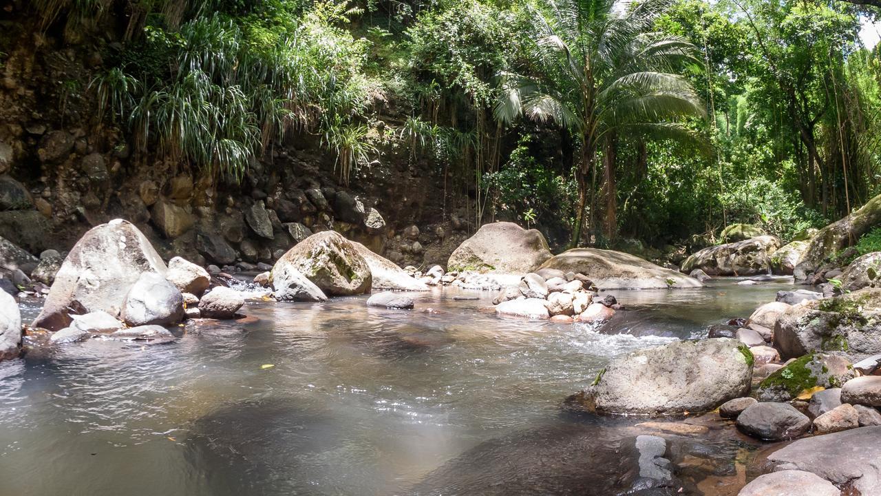 הוילה Canton Suisse Martinique Treehouse מראה חיצוני תמונה