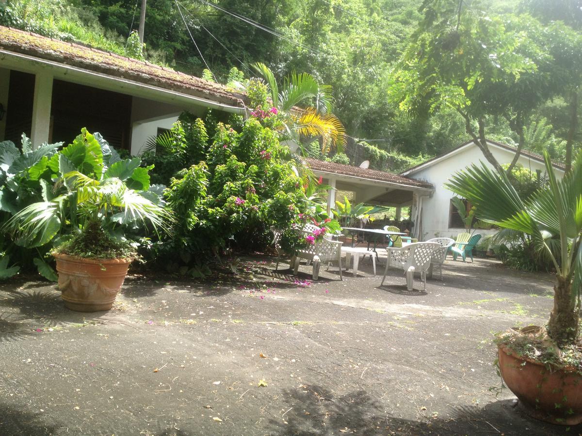 הוילה Canton Suisse Martinique Treehouse מראה חיצוני תמונה