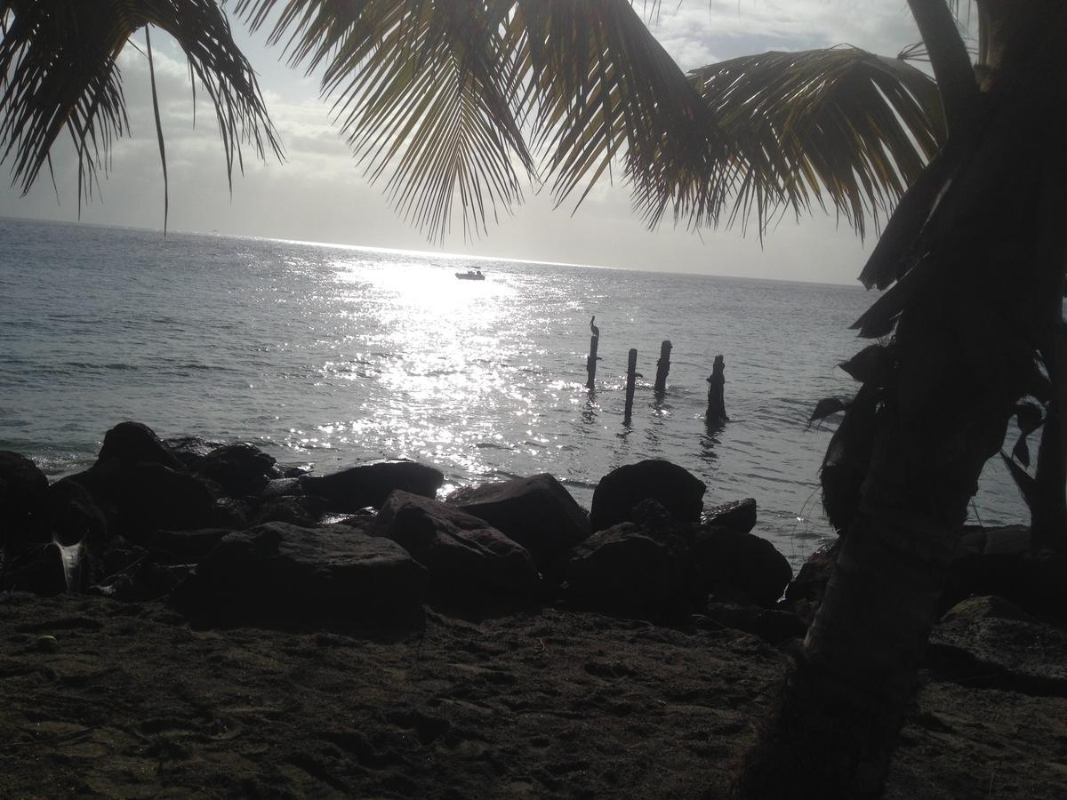 הוילה Canton Suisse Martinique Treehouse מראה חיצוני תמונה