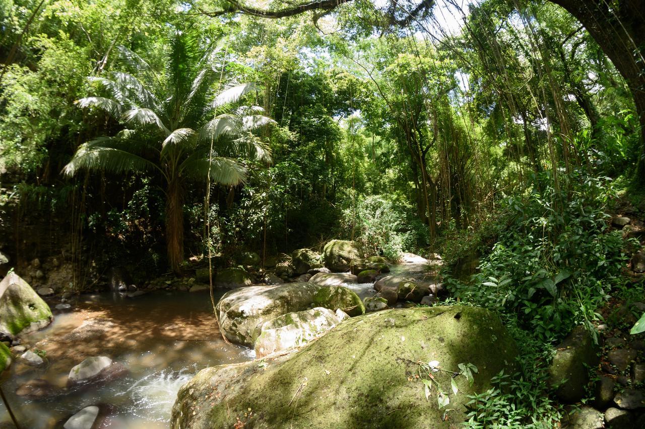 הוילה Canton Suisse Martinique Treehouse מראה חיצוני תמונה