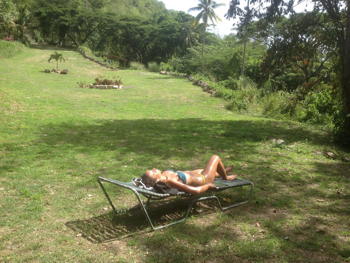 הוילה Canton Suisse Martinique Treehouse מראה חיצוני תמונה