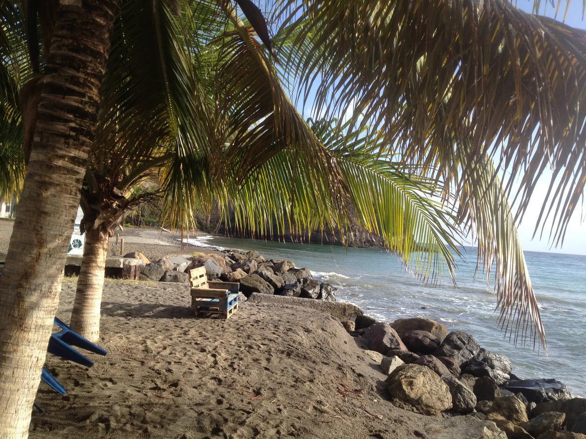 הוילה Canton Suisse Martinique Treehouse מראה חיצוני תמונה