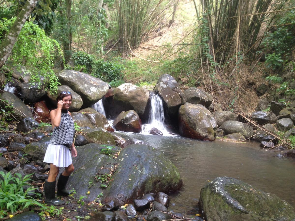 הוילה Canton Suisse Martinique Treehouse מראה חיצוני תמונה