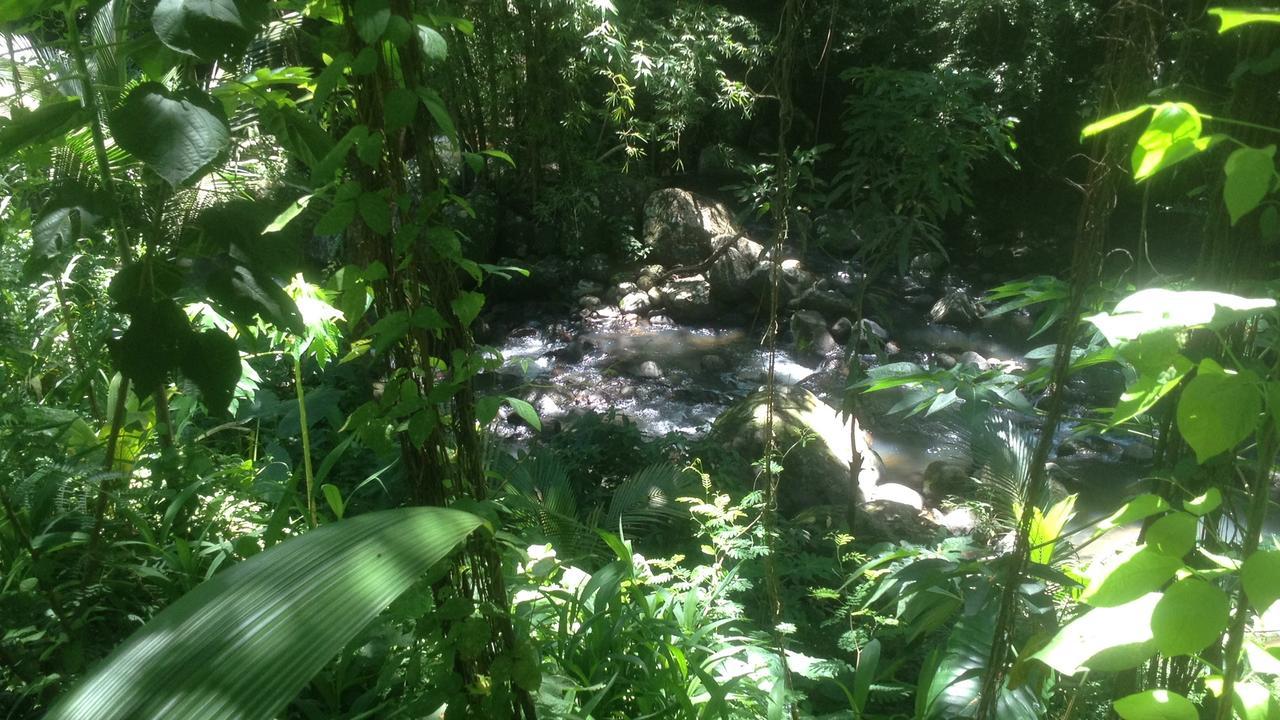 הוילה Canton Suisse Martinique Treehouse מראה חיצוני תמונה