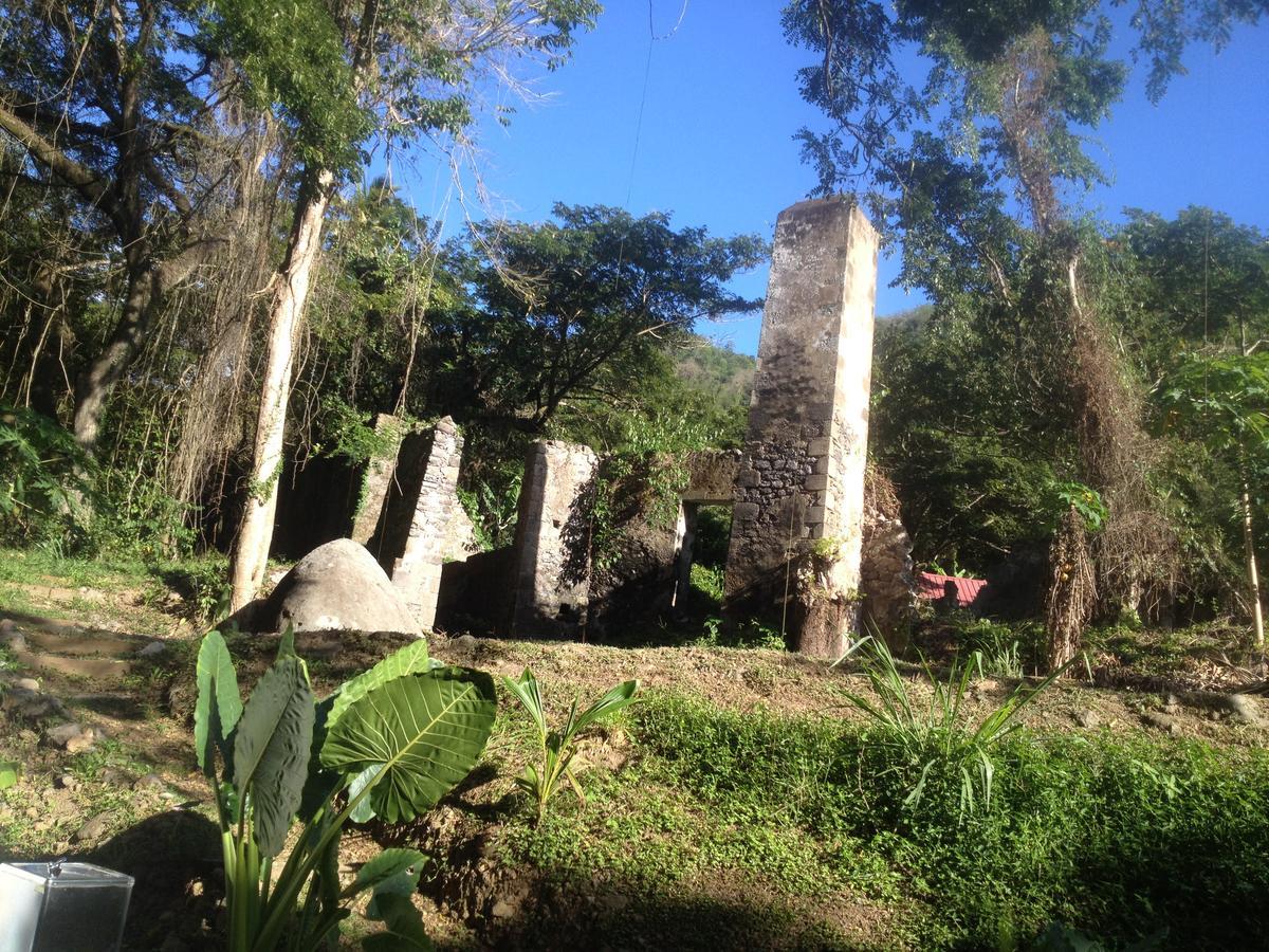 הוילה Canton Suisse Martinique Treehouse מראה חיצוני תמונה