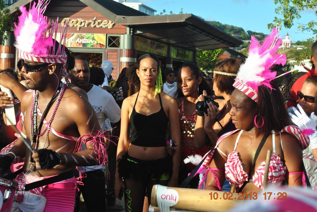 הוילה Canton Suisse Martinique Treehouse מראה חיצוני תמונה