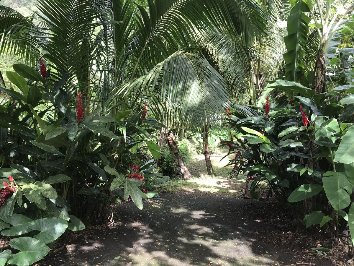 הוילה Canton Suisse Martinique Treehouse מראה חיצוני תמונה