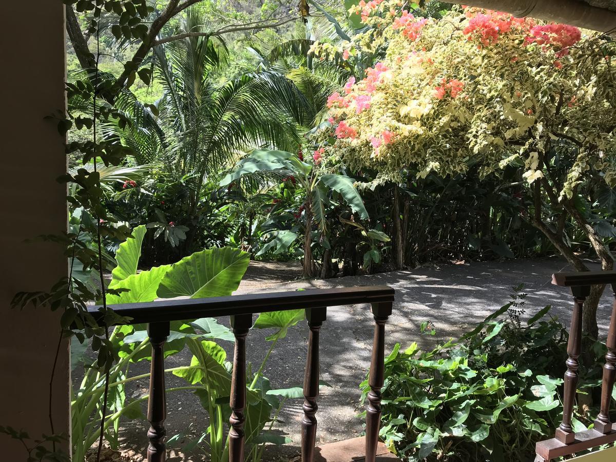 הוילה Canton Suisse Martinique Treehouse מראה חיצוני תמונה