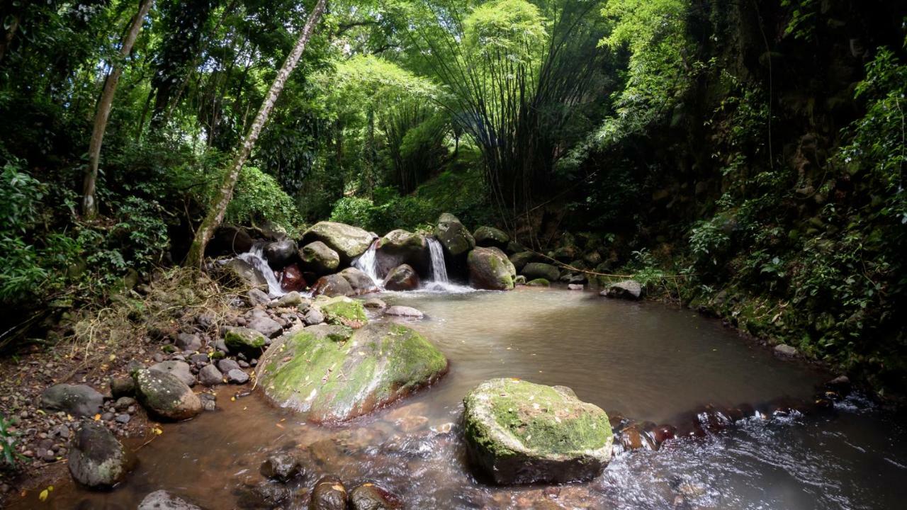 הוילה Canton Suisse Martinique Treehouse מראה חיצוני תמונה