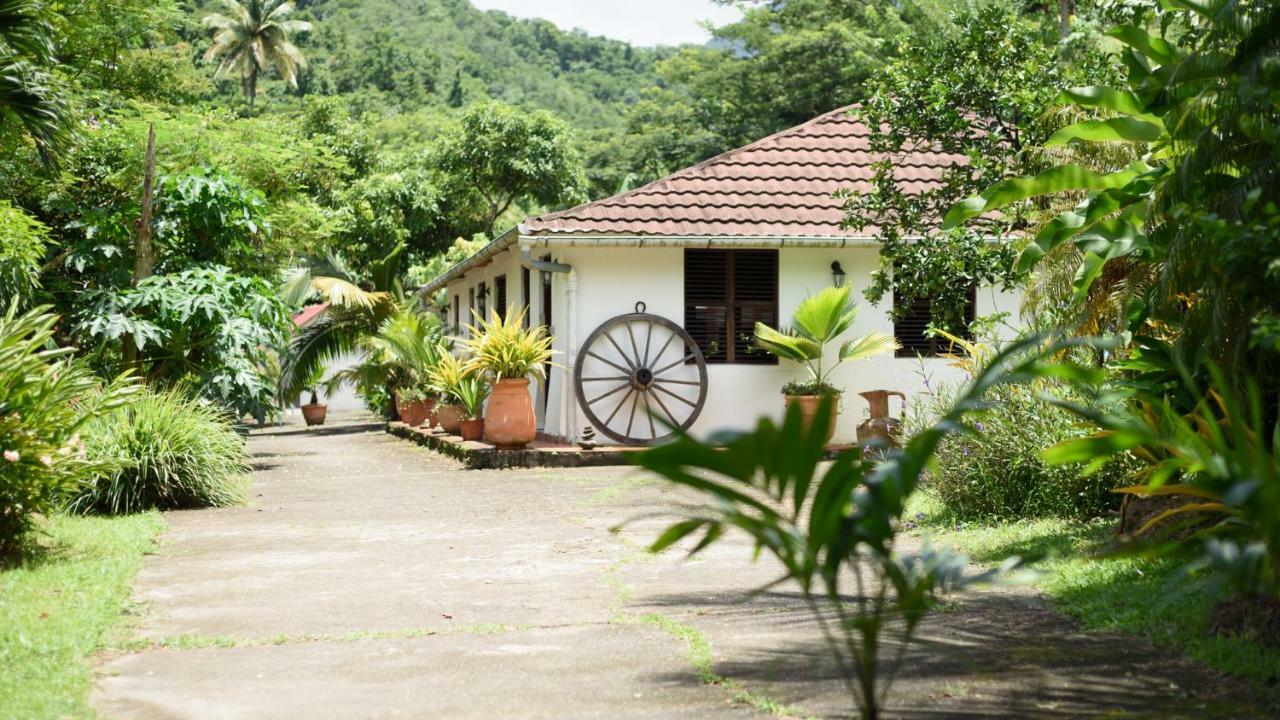הוילה Canton Suisse Martinique Treehouse מראה חיצוני תמונה
